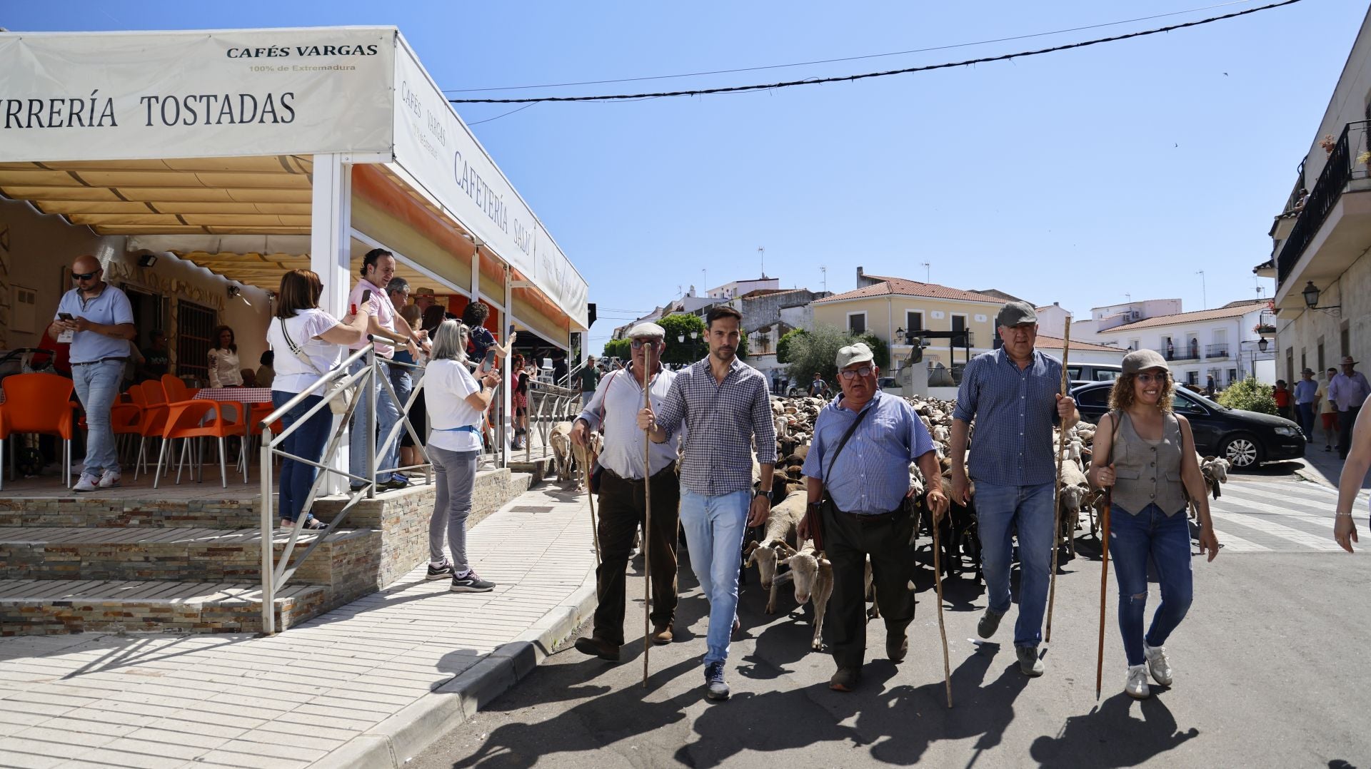 &#039;Vive la Trashumancia&#039; y &#039;Feria del Queso Artesano&#039; (IV)