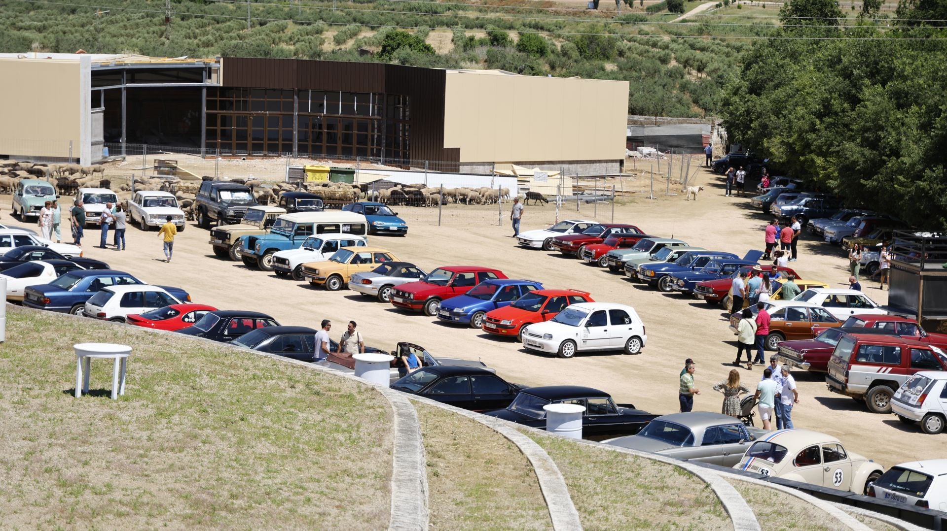 'Vive la Trashumancia' y 'Feria del Queso Artesano' (IV)