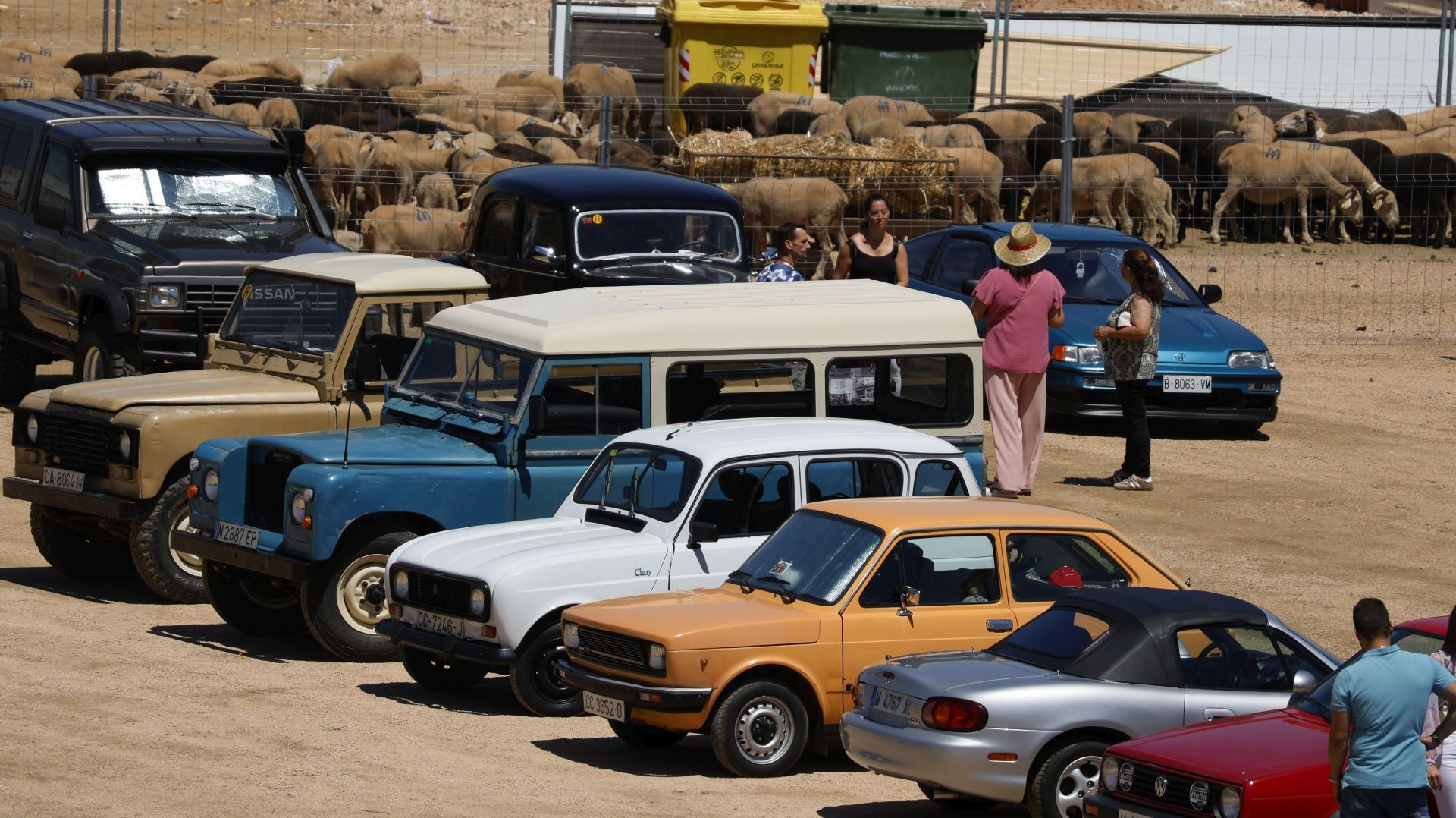 'Vive la Trashumancia' y 'Feria del Queso Artesano' (IV)