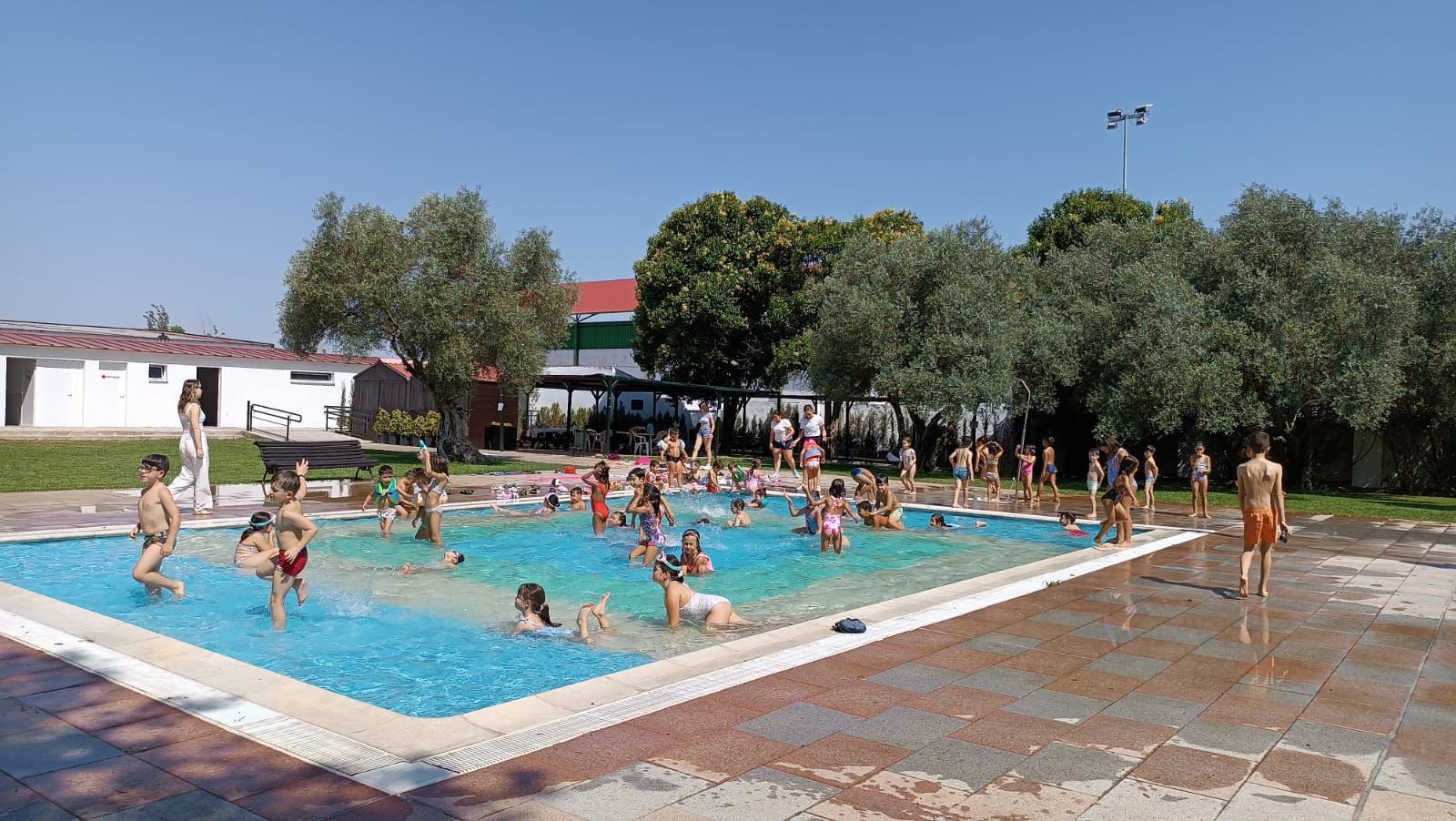 Campamento de Verano 'La Tribu'