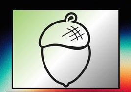 La Diputación de Badajoz impulsa una observación astronómica para promocionar el cielo nocturno de la región