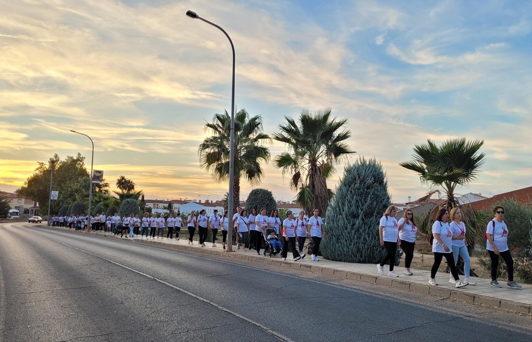 Marcha Solidaria 2025