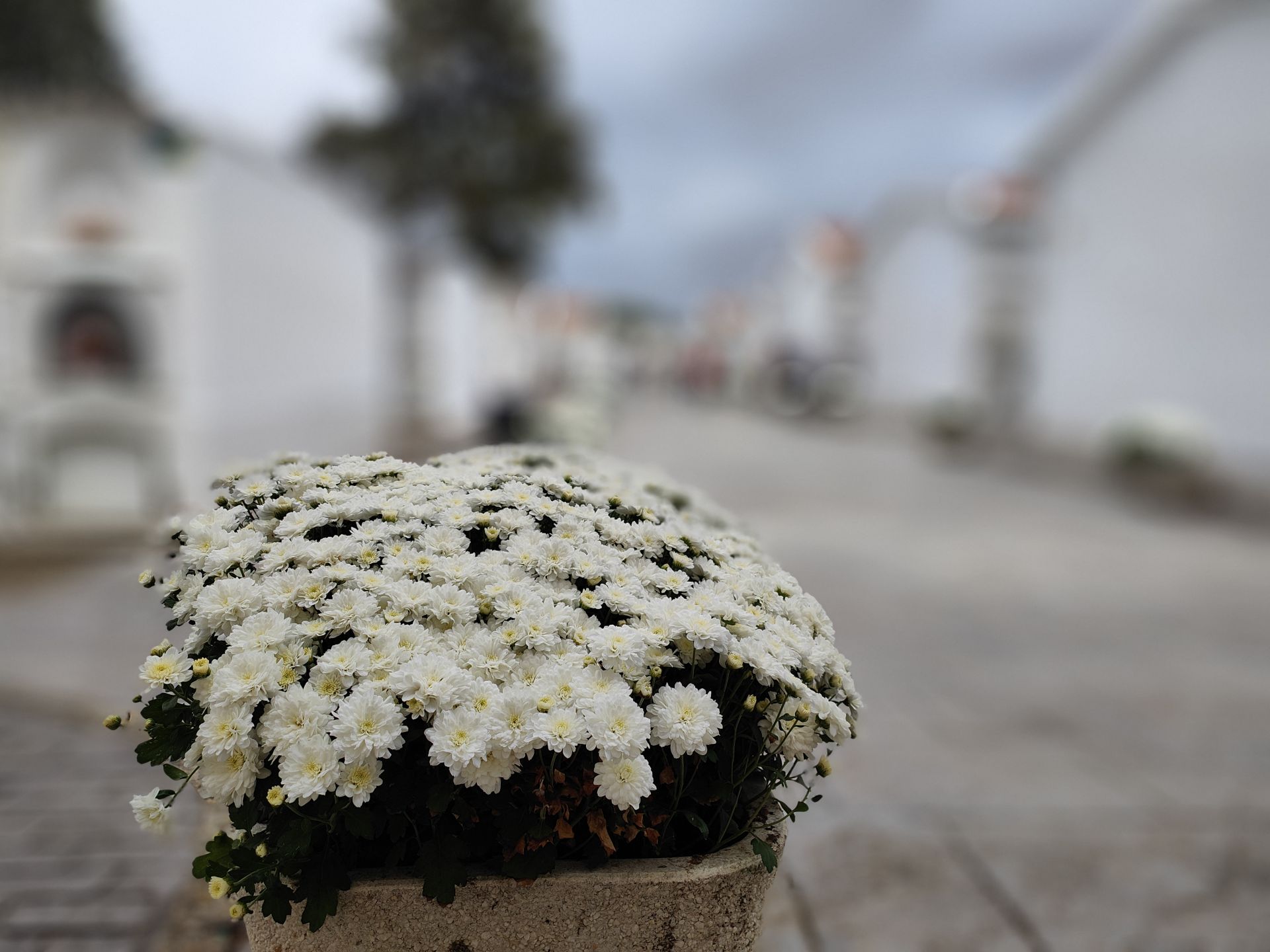 Celebración del Día de los Difuntos