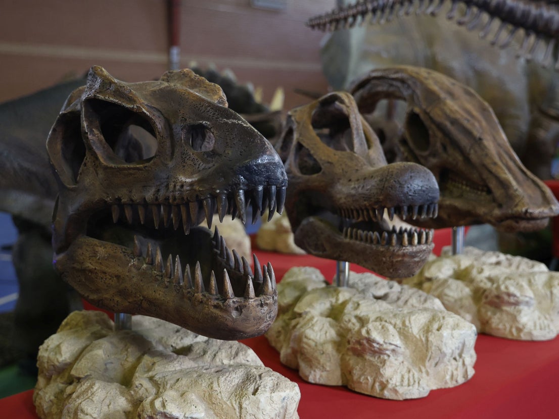 Criaturas Jurásicas