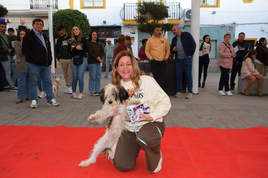 VI Desfile Canino Amaval