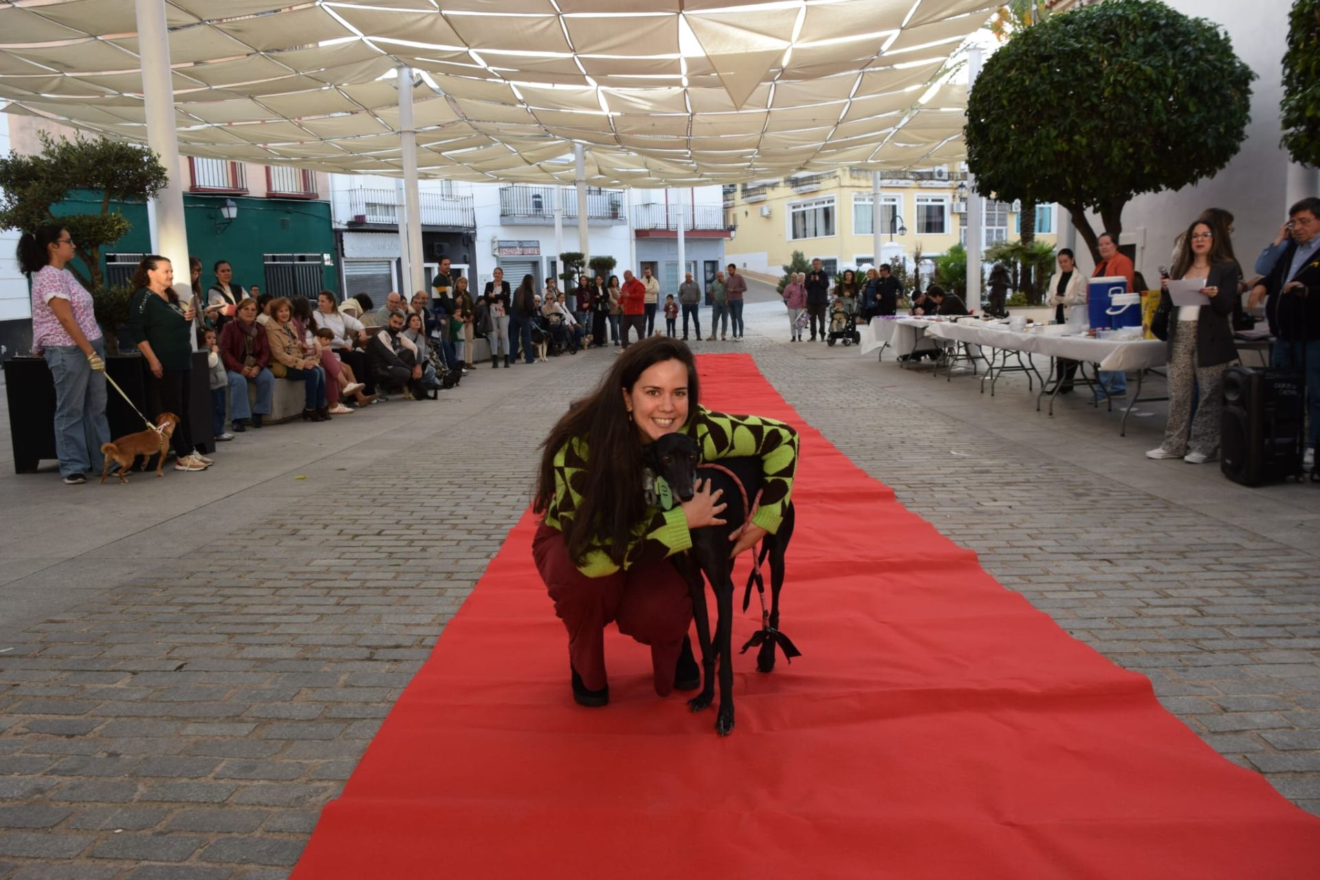 VI Desfile Canino Amaval