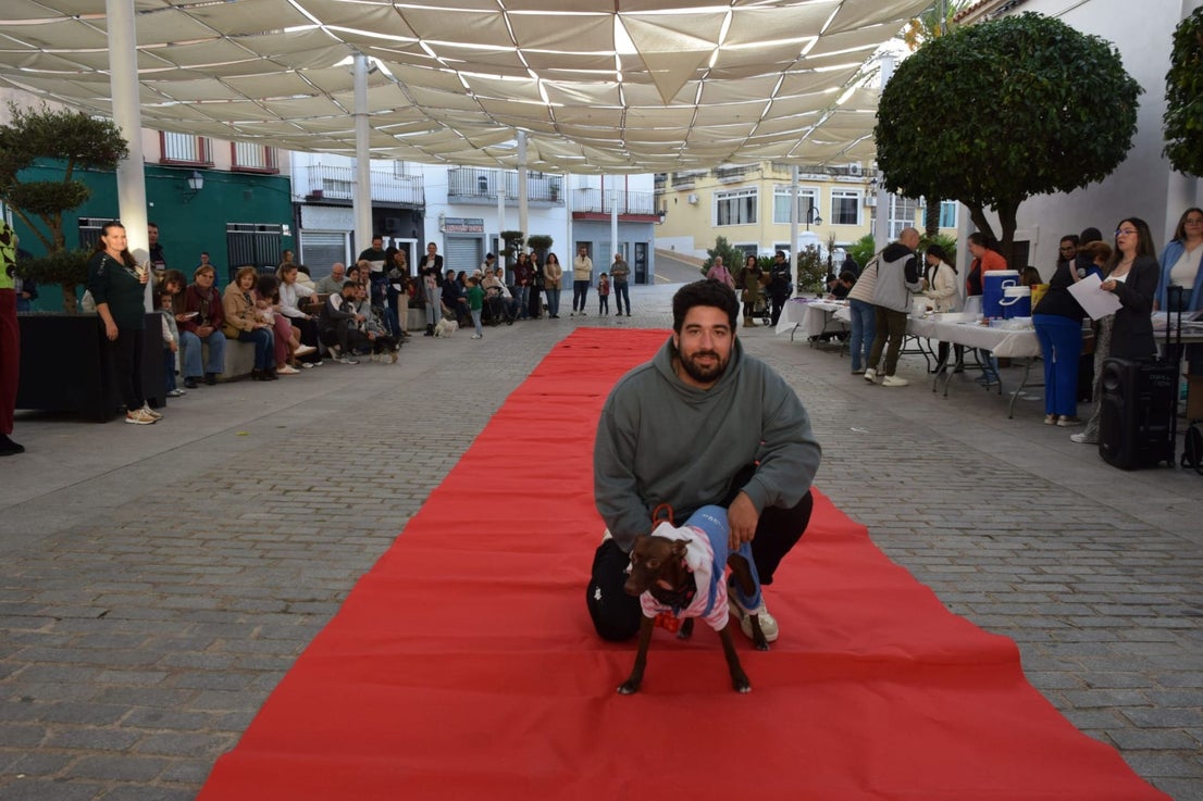 VI Desfile Canino Amaval