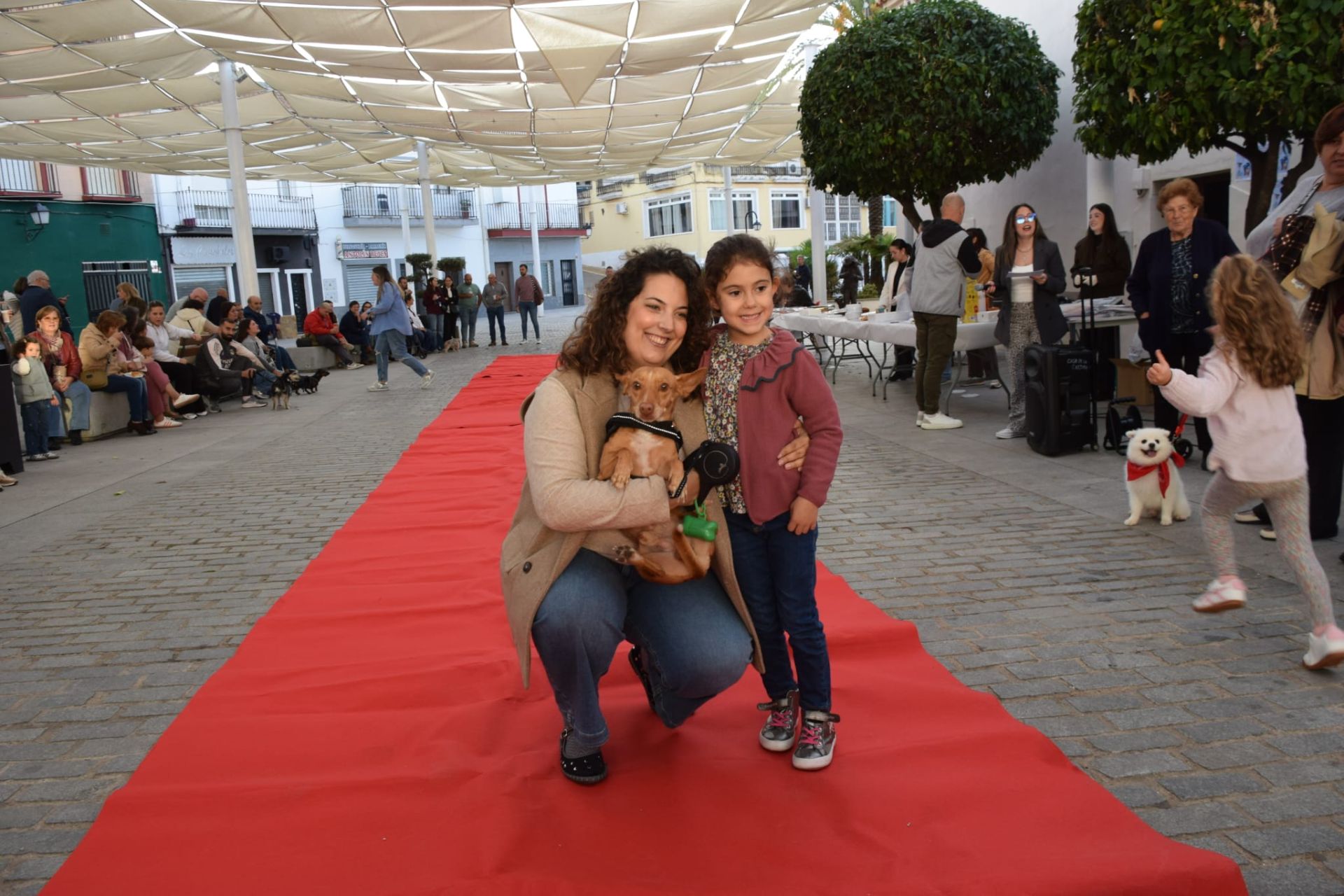VI Desfile Canino Amaval