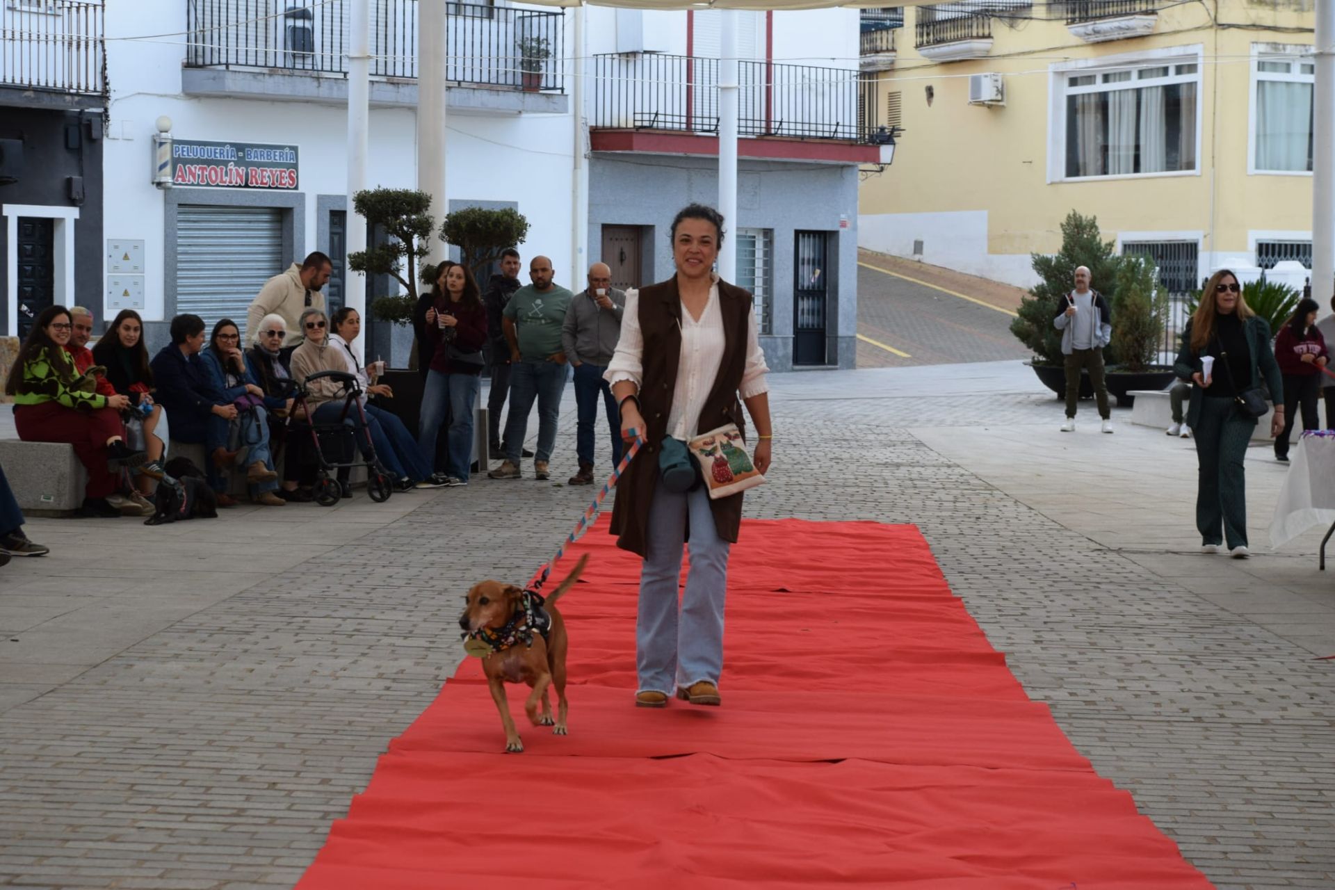 VI Desfile Canino Amaval