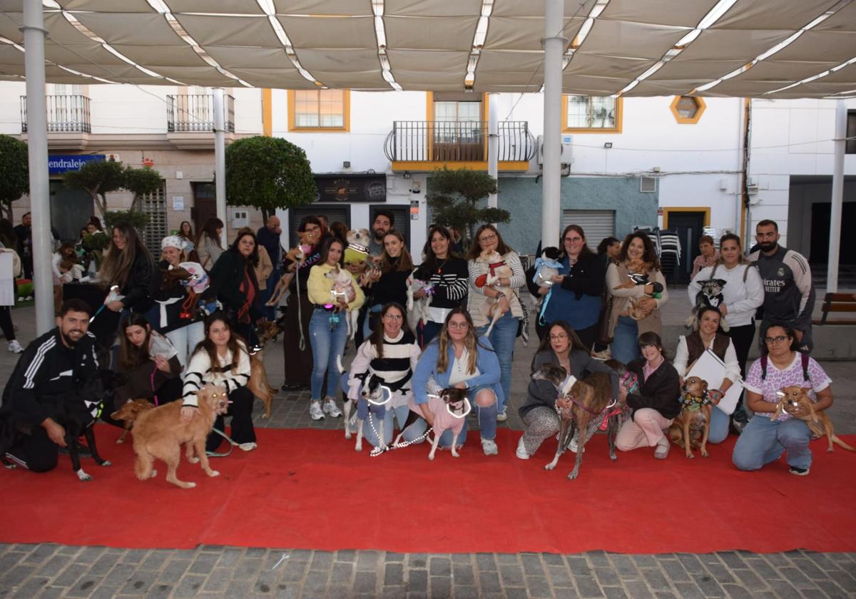 Participantes en el Desfile Canino