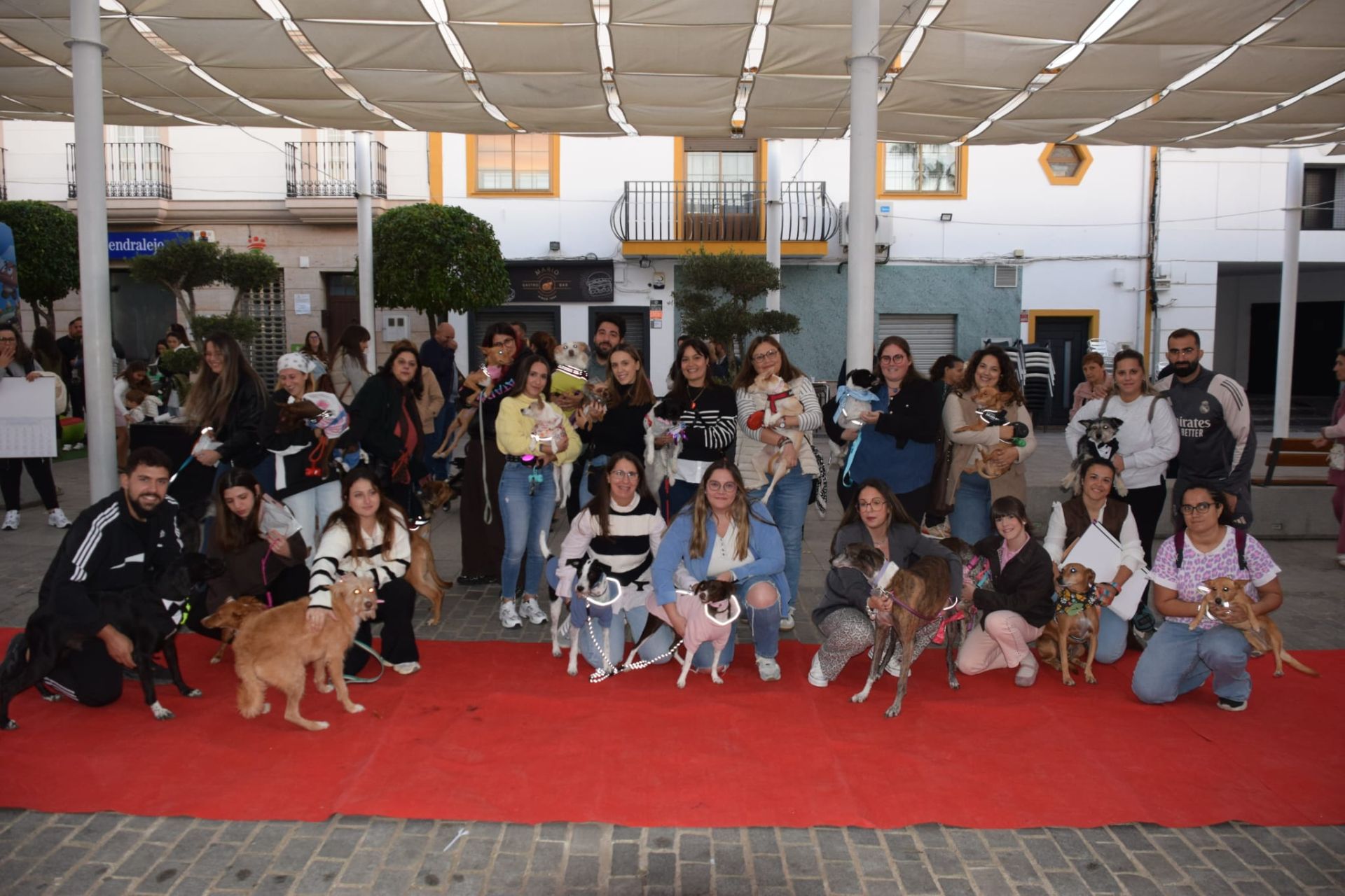 VI Desfile Canino Amaval