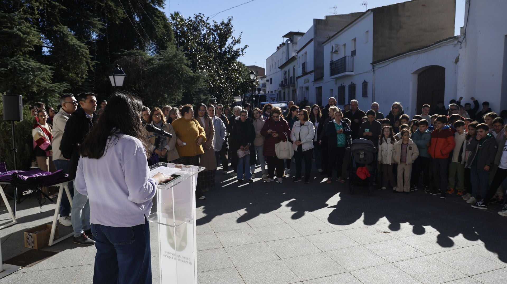 Día Internacional de la Eliminación de la Violencia contra la Mujer