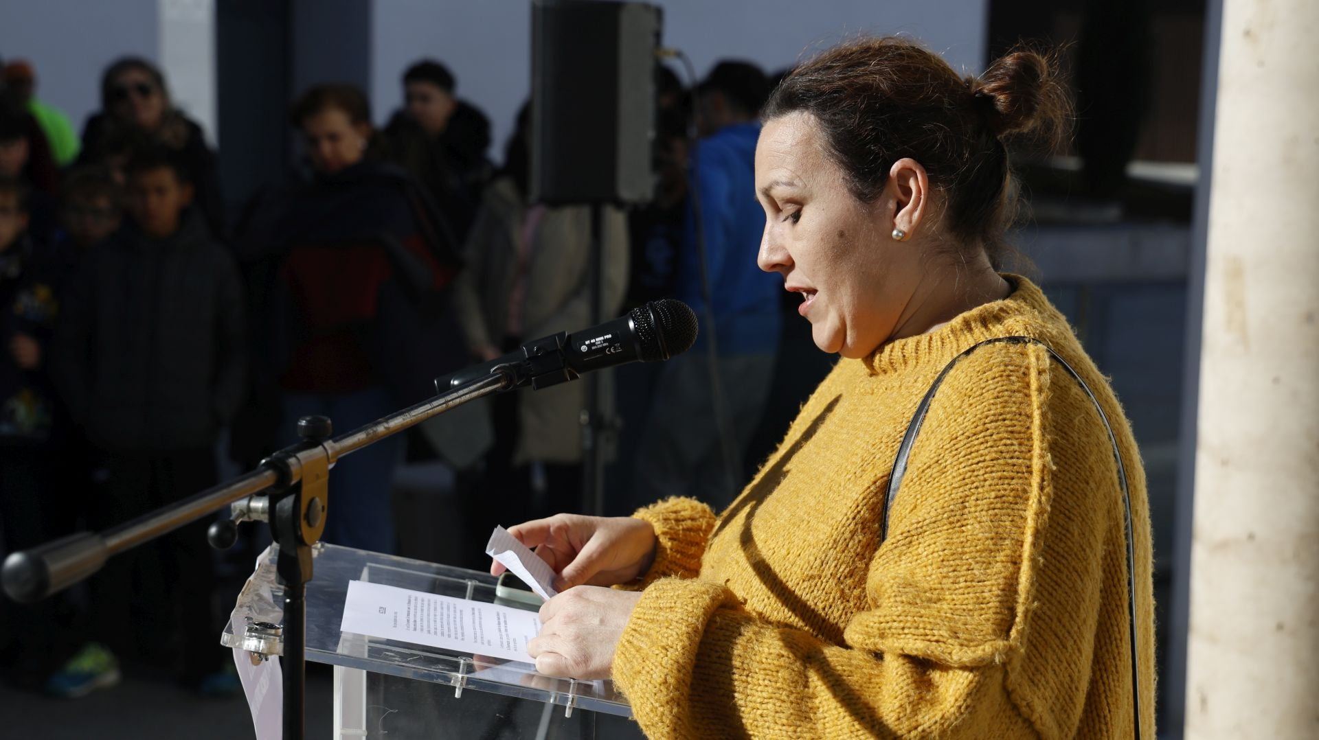 Día Internacional de la Eliminación de la Violencia contra la Mujer