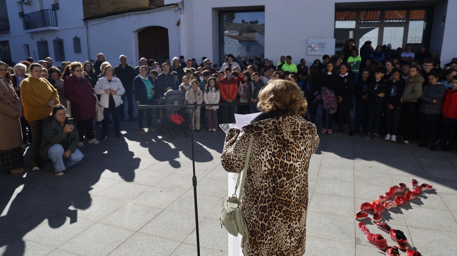 Día Internacional de la Eliminación de la Violencia contra la Mujer