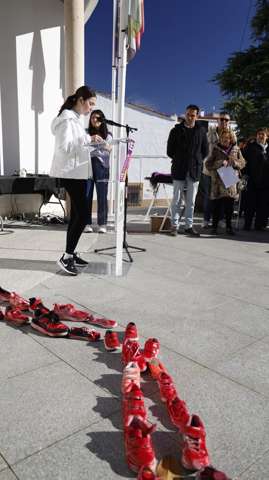 Día Internacional de la Eliminación de la Violencia contra la Mujer