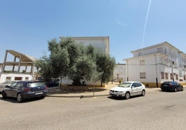 Lugar provisional de la parada de autobuses