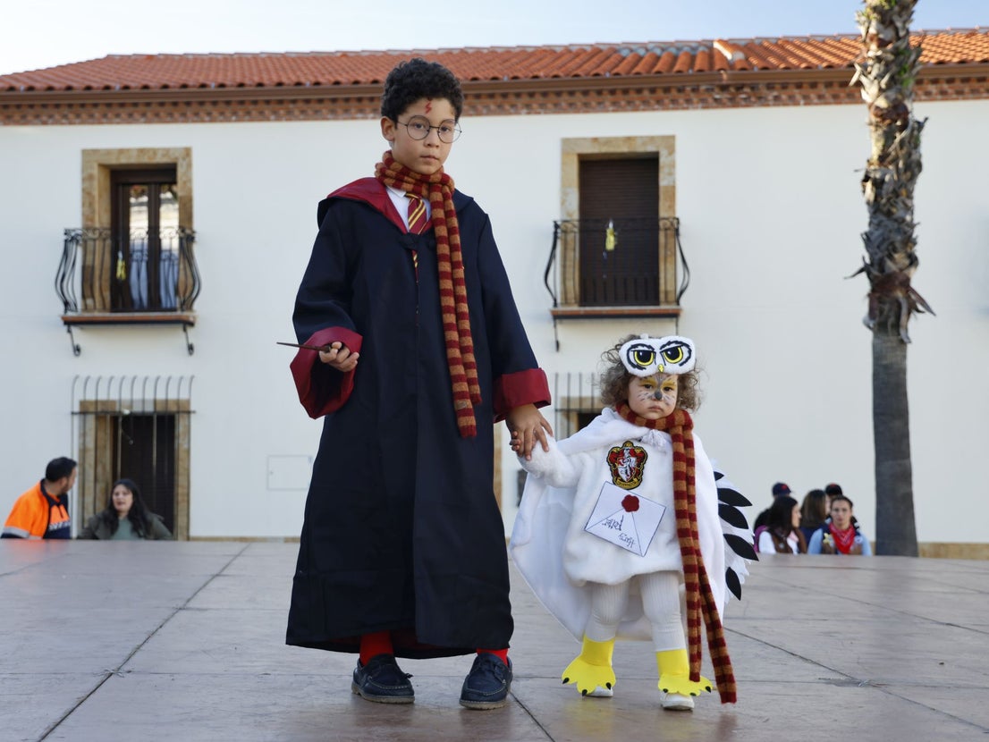 Exhibición de Disfraces