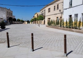 Calle Isidra Asensio Jaramago