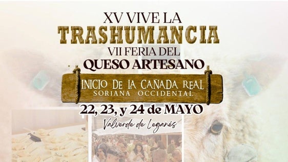 Actividades programadas para este domingo