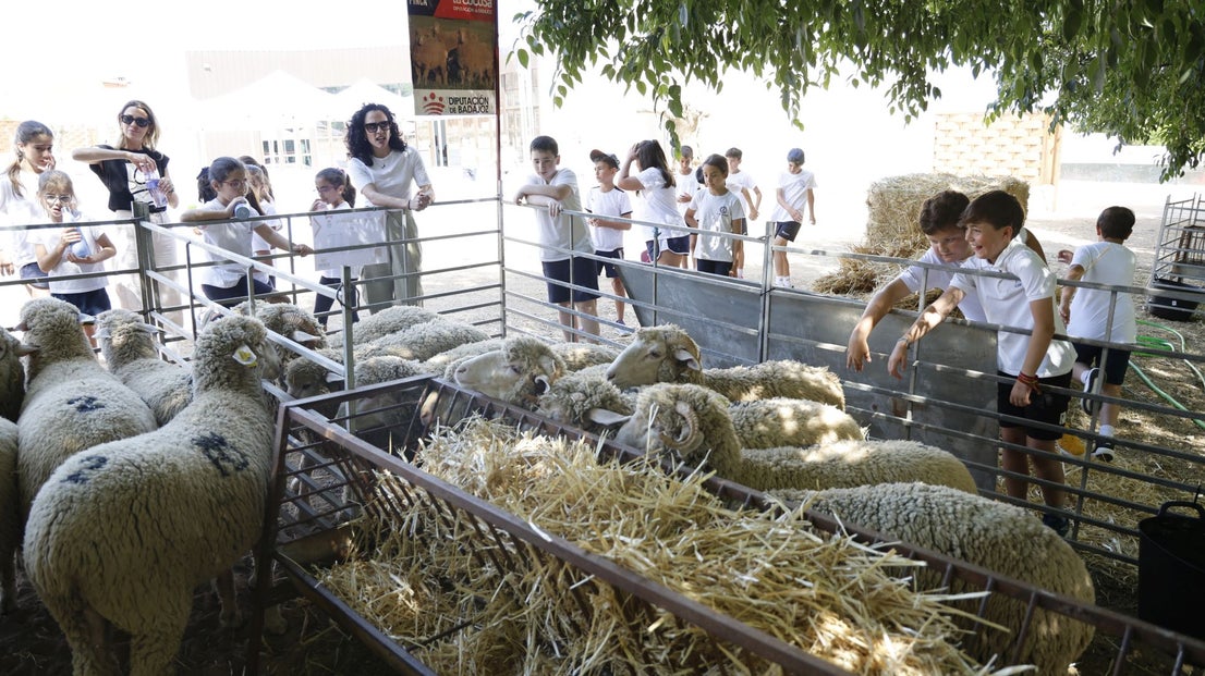XV Vive la Trashumancia y VII Feria del Queso Artesano 01
