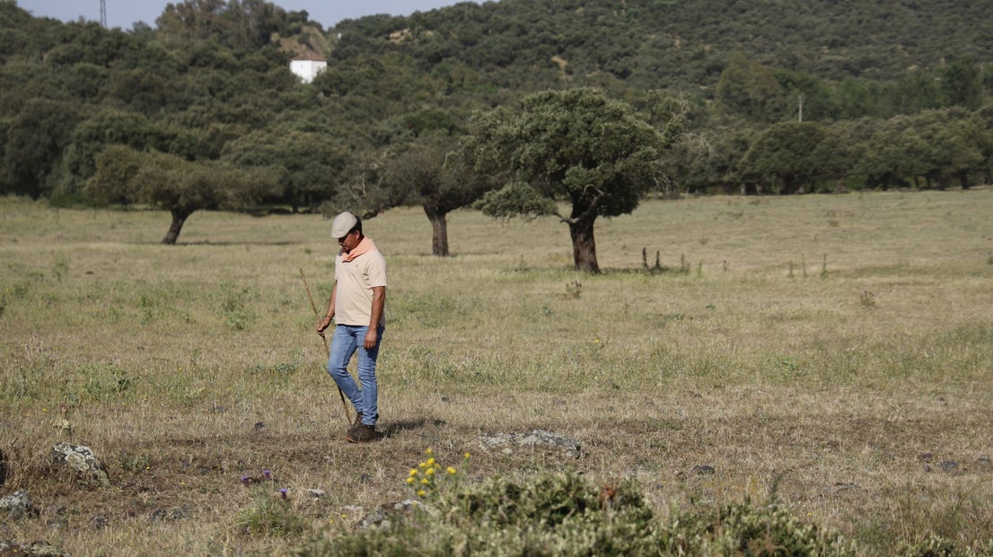 Recorrido Trashumante