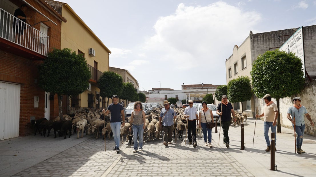 Recorrido Trashumante
