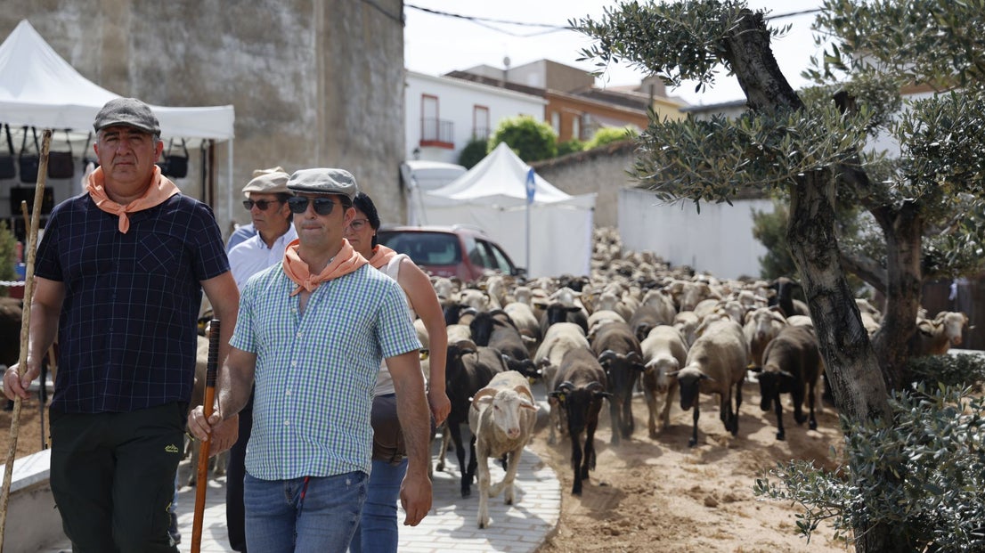 Recorrido Trashumante