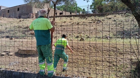 Accediendo al lugar para rescatar al animal