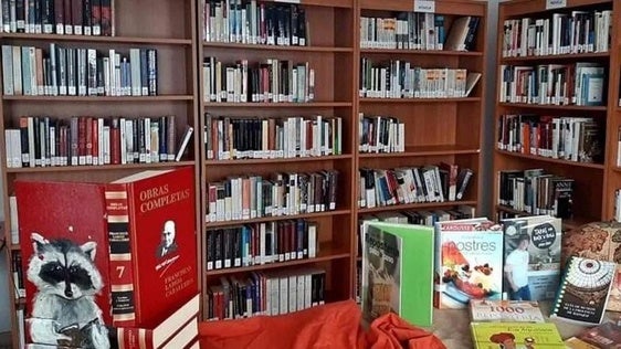 La biblioteca adapta su horario al verano