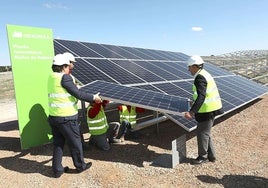 Montaje de una planta fotovoltaica en Extremadura