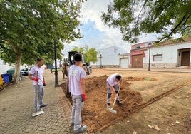 Durante los primeros trabajos