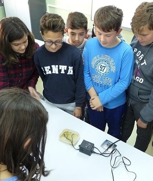 Alumnos observandos uno de los experimentos realizados