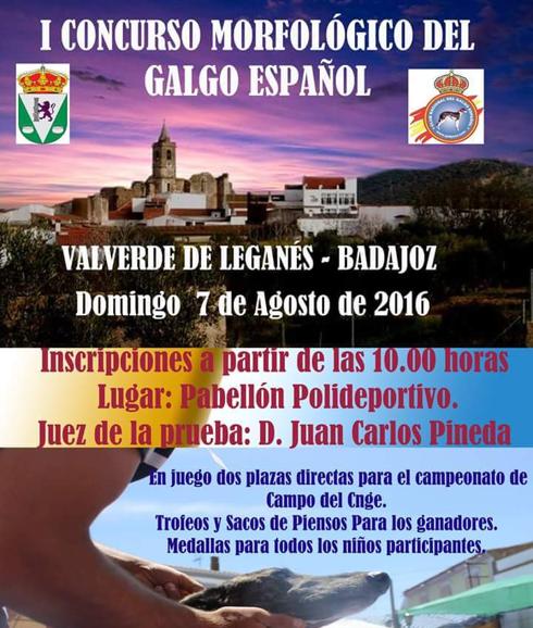 Mañana se celebra el I Concurso Morfológico del Galgo Español