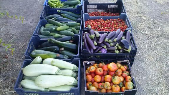 Algunos productos del huerto