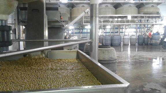 Instalaciones de la Cooperativa