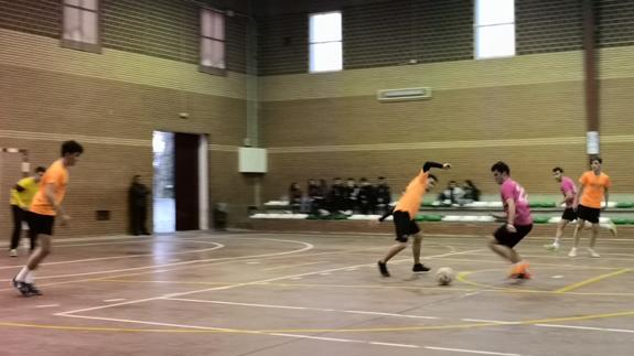 Comienza la fase final en la liga de fútbol sala