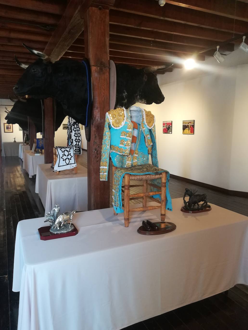 Fotos: Miguel Ángel Perera, 15 años de alternativa