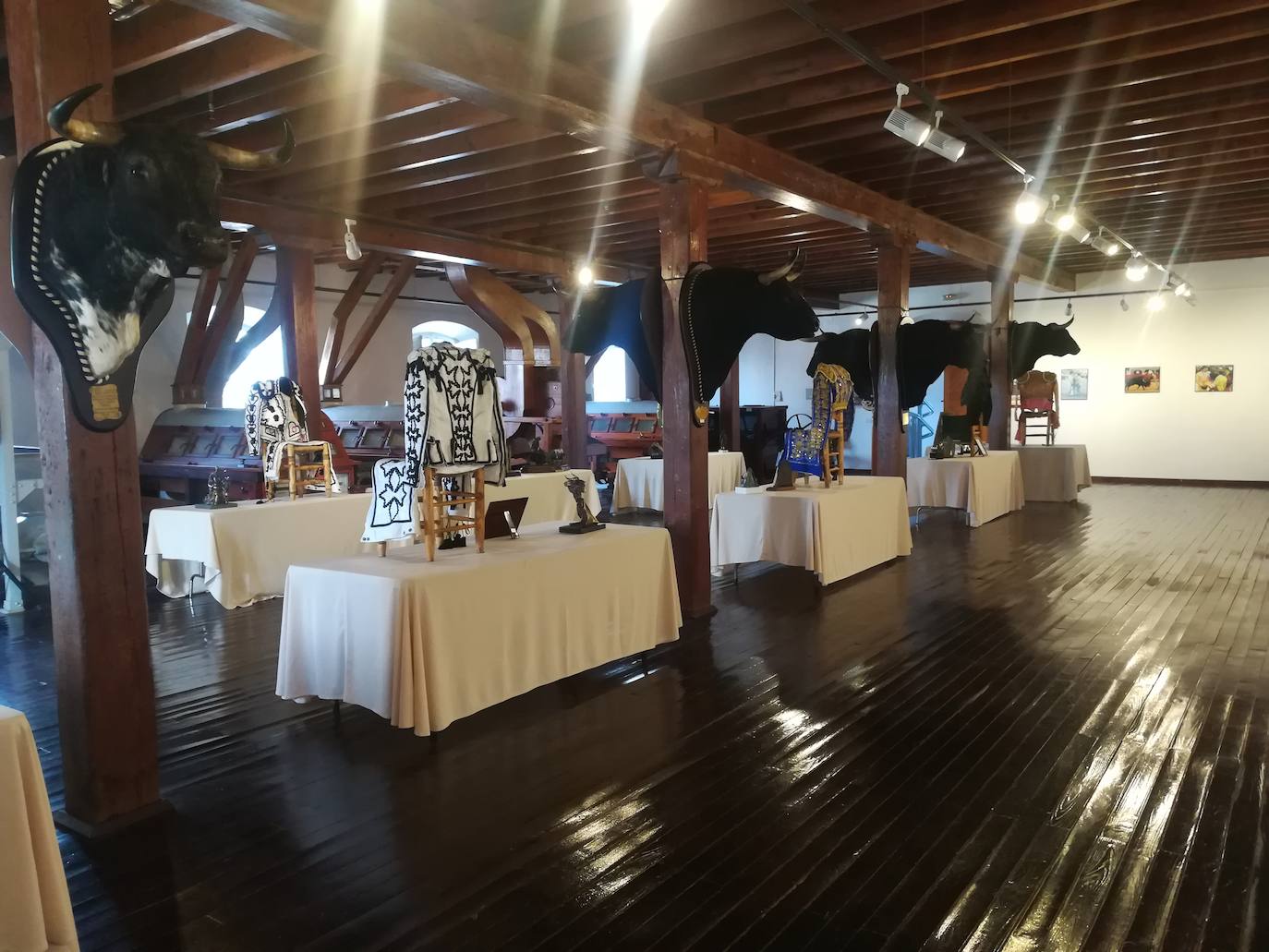 Fotos: Miguel Ángel Perera, 15 años de alternativa