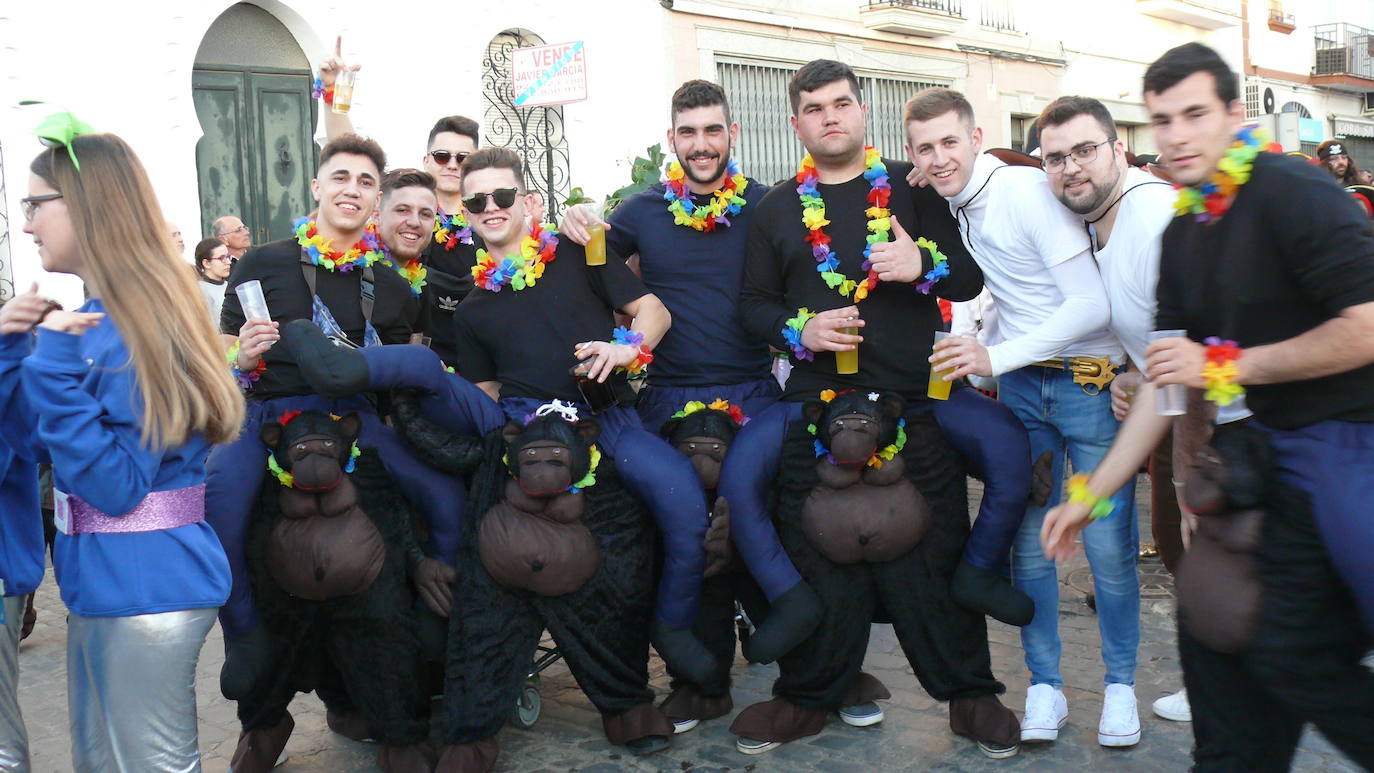 Fotos: Desfile Carnaval 2020 Villafranca