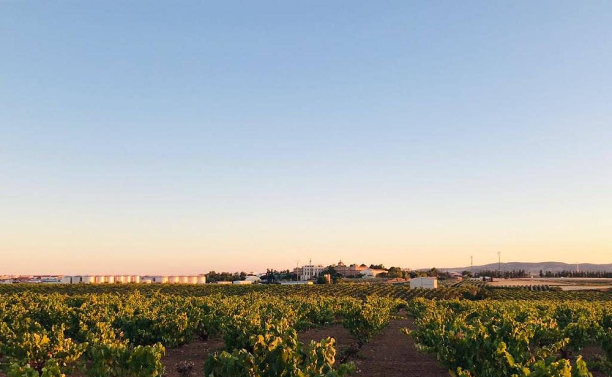 Villafranca suma dos nuevos positivos de Covid-19