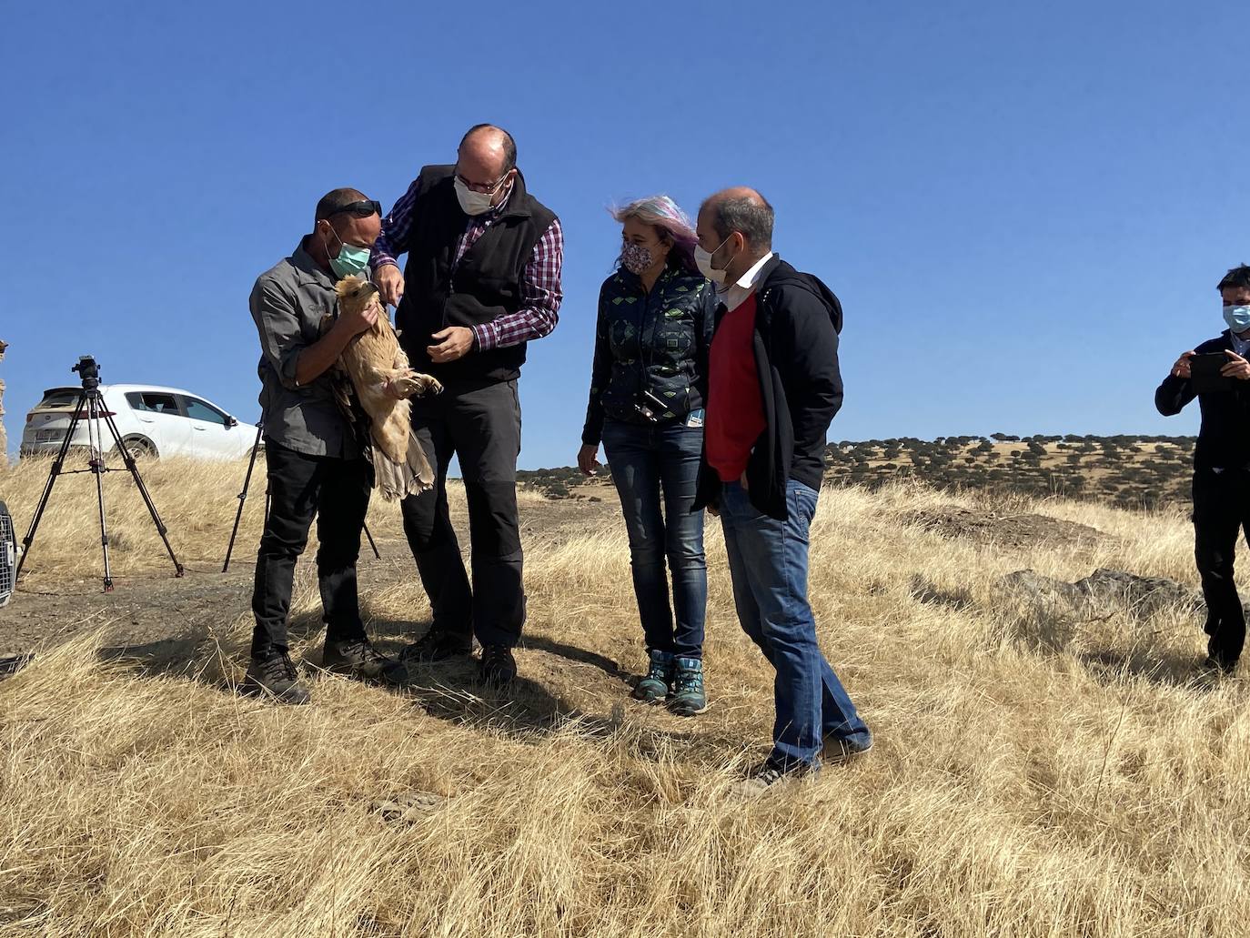 Fotos: AMUS libera a un Águila imperial recuperado tras una electrocución