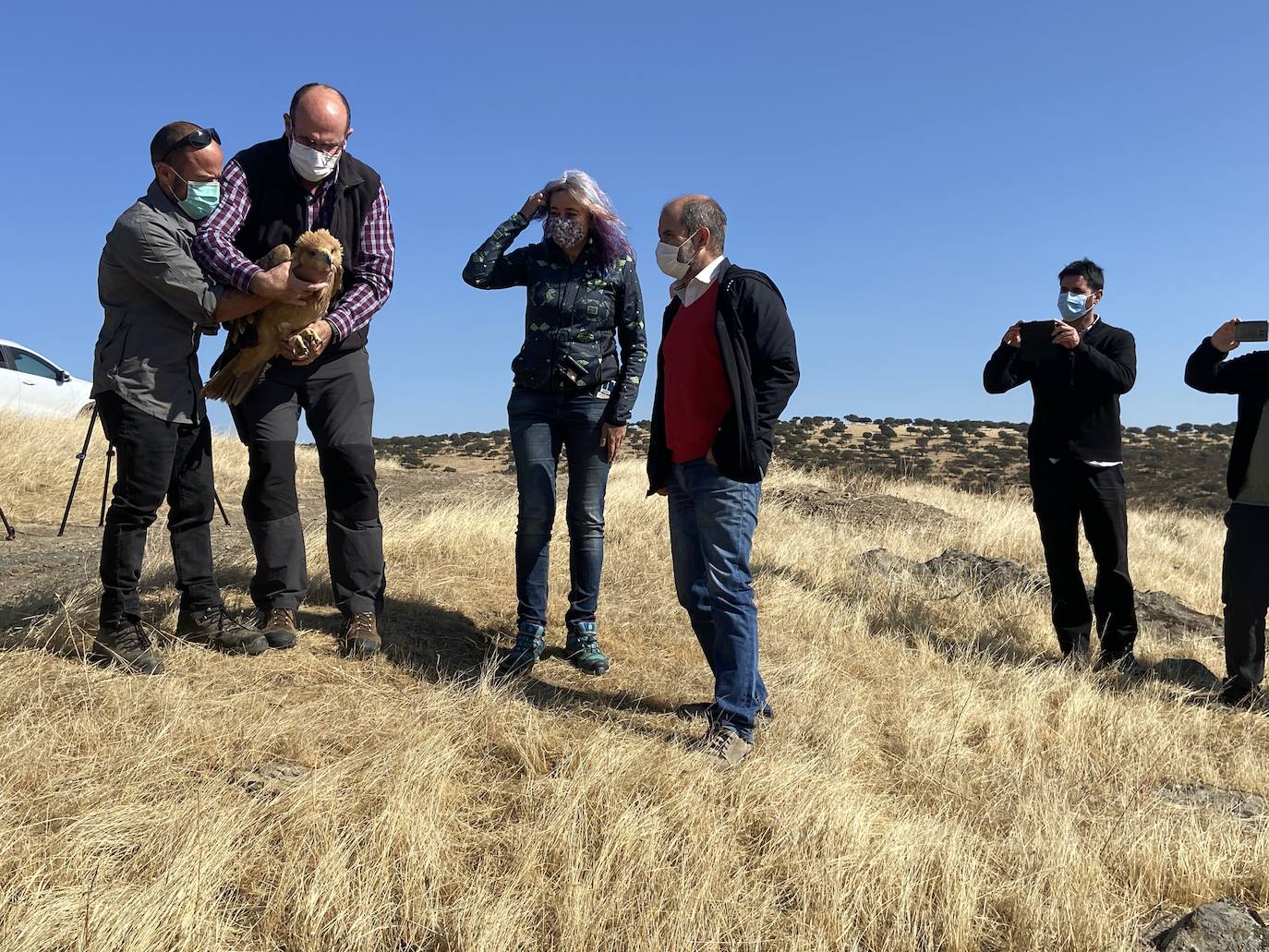 Fotos: AMUS libera a un Águila imperial recuperado tras una electrocución