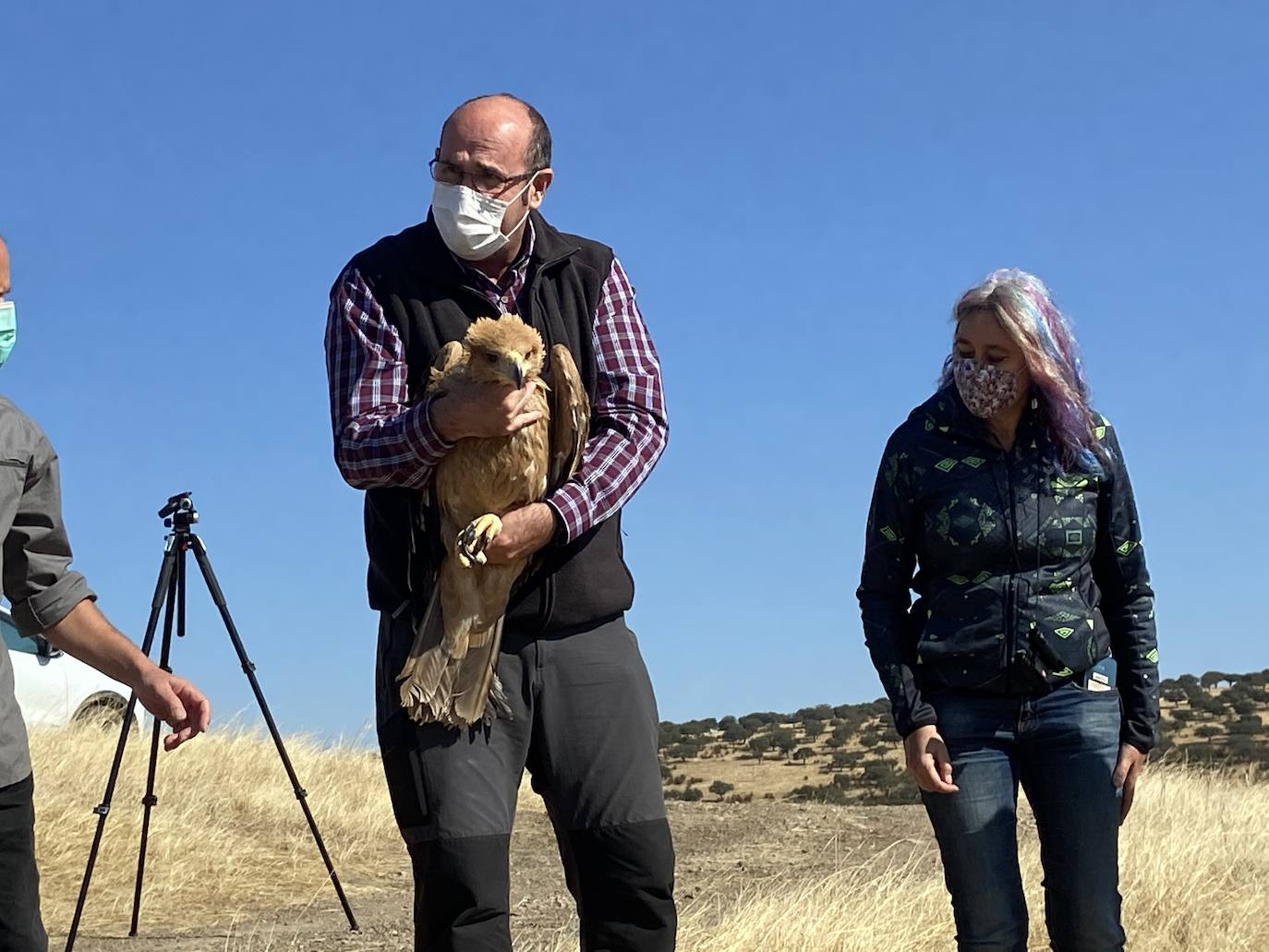 Fotos: AMUS libera a un Águila imperial recuperado tras una electrocución