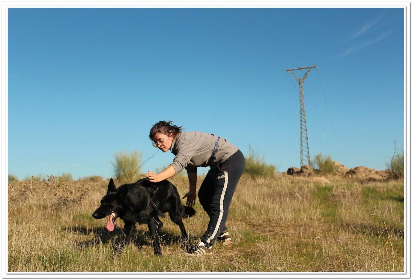 La adiestradora da la señal a Lobo para que inicie la detección debajo de la línea eléctrica a prospectar