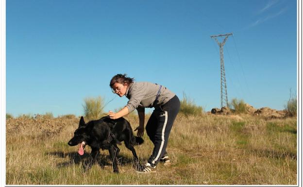 La adiestradora da la señal a Lobo para que inicie la detección debajo de la línea eléctrica a prospectar 