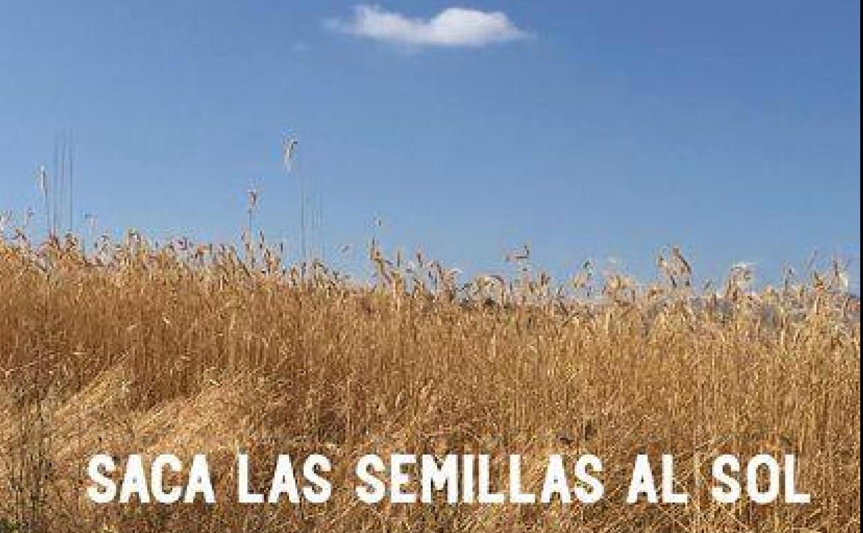 El sábado se inaugura la exposición 'Saca las semillas al sol' de María Jesús Manzanares