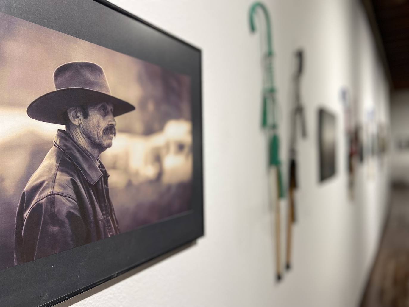 Fotos: Villafranca con el pueblo gitano