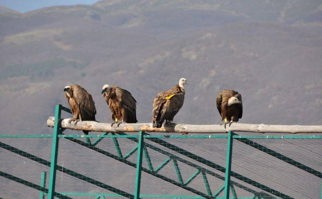 Extremadura se visibiliza en Europa como una comunidad que genera y exporta Biodiversidad