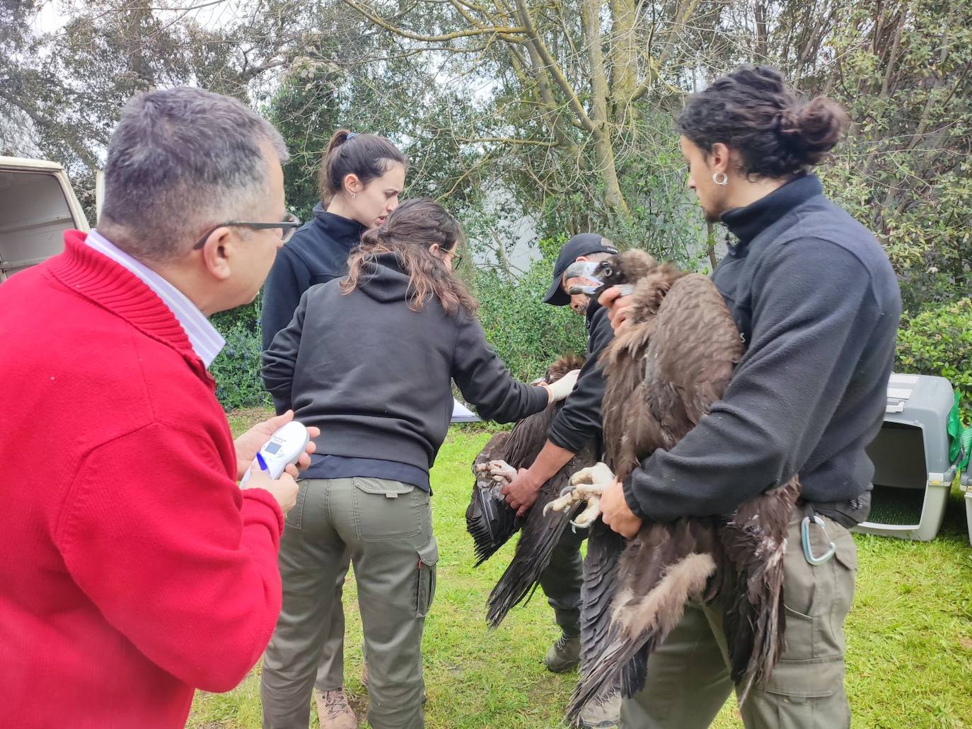 Lectura del microchip por parte de los servicios veterinarios de la Junta de Extremadura.