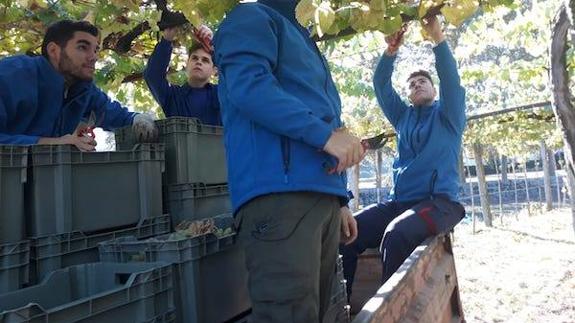 Alumnos del CFMR de Villafranca participan en el programa europeo Erasmus+ en Portugal